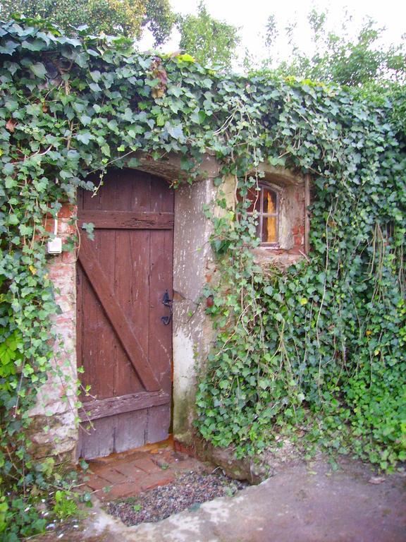 Zakatek Pod Grusza Villa Bedzino Екстериор снимка